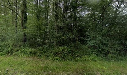 Christine Balduzzi Ruelle, Agence Immobilière à Domptin