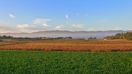 Agence du Pays d'aigues, Agence Immobilière à La Tour-d'Aigues