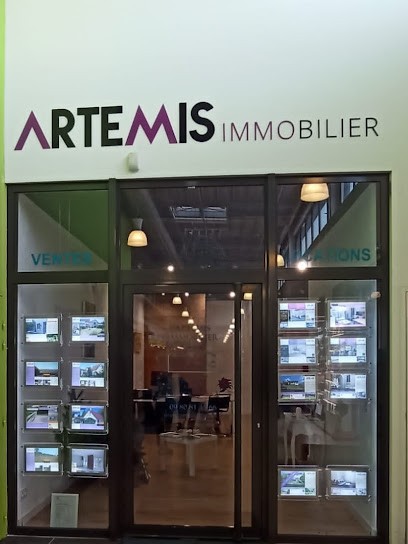 ARTEMIS IMMOBILIER, Agence Immobilière à Saône