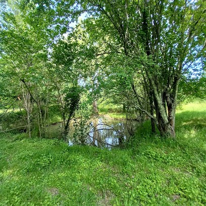 Philippe VAISSIERES Conseiller Immobilier NEGREPELISSE et ses Alentours, Agence Immobilière à Nègrepelisse