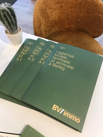 Bv Immobillier Belley Agence Immobilière à Belley