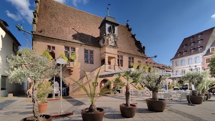 Joëlle Ballé - LF Immo - La Fourmi Immo, Agence Immobilière à Molsheim