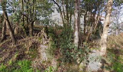 Isabelle PASQUIER - Emji, Agence Immobilière à Saubens