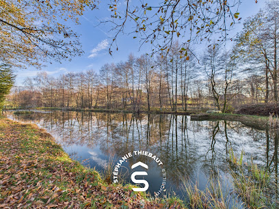 🌲 Stéphanie Thiebaut ⭐️⭐️⭐️⭐️⭐️ – Conseillère En Immobilier Iad France | Achat & Vente Vosges | Dounoux Agence Immobilière à Dounoux