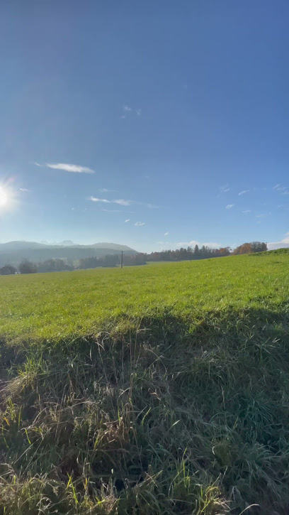 Joffrey Béchet Ei / Bsk Immobilier Agence Immobilière à Contamine-sur-Arve
