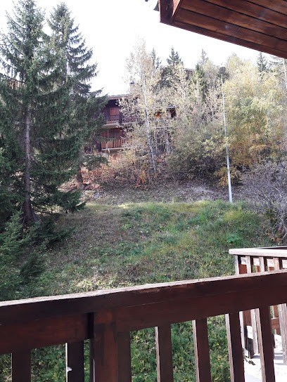 Courchevel Immobilier, Agence Immobilière à Courchevel