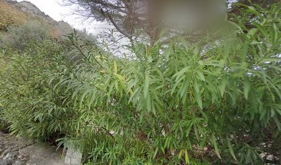 GIUGE.DIH Diagnostic Immobilier habitat, Agence Immobilière à Vence