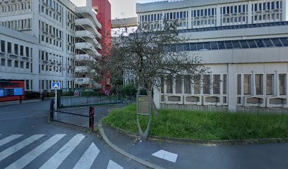 Sissi, Agence Immobilière à Montreuil