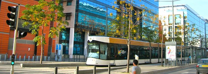 Le Phare De Provence, Agence Immobilière à Marseille 02