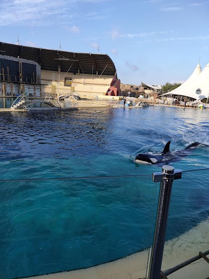 As Immobilier Eurl, Agence Immobilière à La Roche-sur-Foron