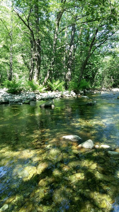 cvimmobilier, Agence Immobilière à Corte