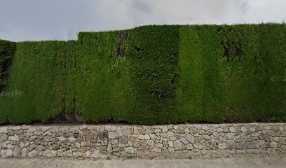 VILEA Immobilier, Agence Immobilière à Vallauris