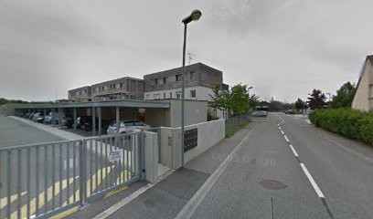 Maxime Schmitt, La Fourmi Immo, Agence Immobilière à Rouffach