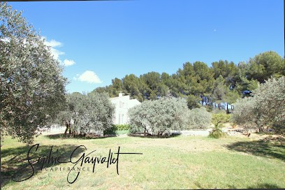 Sophie GAYVALLET CAPIFRANCE, Agence Immobilière à Velaux