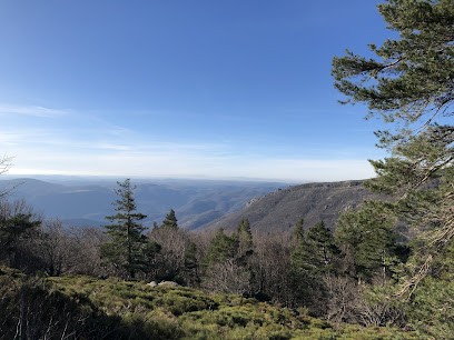 Sarl Avologis Felix, Agence Immobilière à Ganges