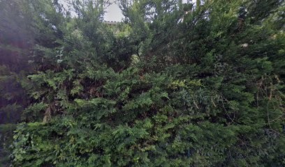 Maura Immo, Agence Immobilière à Saint-Paul-de-Vence