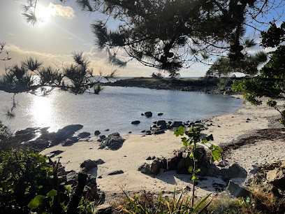 Agence Rive Gauche, Agence Immobilière à Concarneau