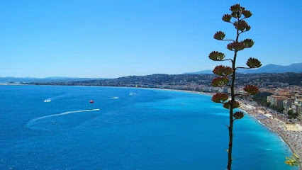 Sud Contact Immobilier Agence Immobilière à Nice
