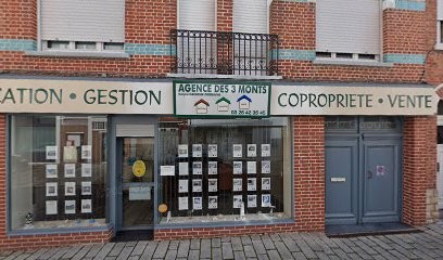 Nexity Hazebrouck, Agence Immobilière à Hazebrouck