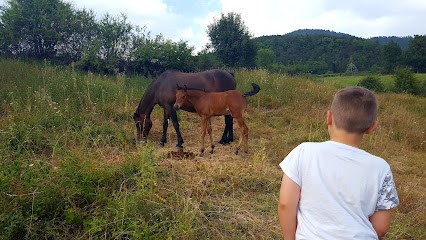 Blanchardeyres, Agence Immobilière à Cornillon-en-Trièves