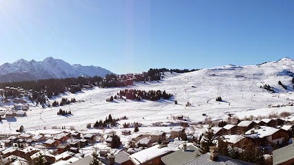Chalets Joguet, Agence Immobilière à Hauteluce
