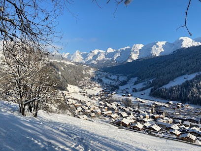 Marine Bidal - Conseiller immobilier - Aravis International, Agence Immobilière au Grand-Bornand