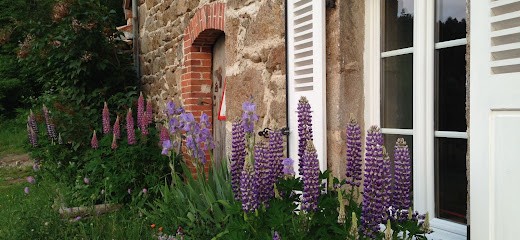 Maryline Giraud Gestion-Mgg, Agence Immobilière à La Talaudière