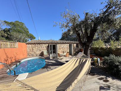 U Paesu Immobilier / Les Maisons De San Ciprianu, Agence Immobilière à Lecci