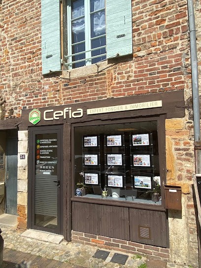 CEFIA - Expertises Foncières & Immobilières, Agence Immobilière à Châtillon-sur-Chalaronne