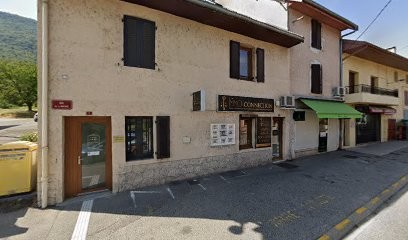 Agence Immobilière IMMO CONNECTION, Agence Immobilière à Anglefort