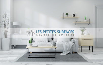 Les Petites Surfaces Studio Et 2 Pièces Agence Immobilière à Paris 08