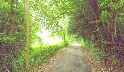 La Sonnette d'Or Property Finders, Agence Immobilière à Mazamet