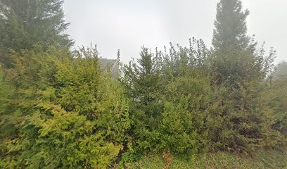 Abeximm, Agence Immobilière à Demi-Quartier