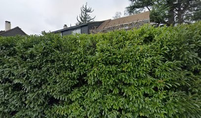 Morel Bertout Charlotte, Agence Immobilière à Orgeval