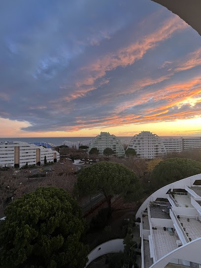 Couchant Immobilier, Achats et Ventes Immobilières / Locations Saisonnières / La Grande Motte, Agence Immobilière à La Grande-Motte