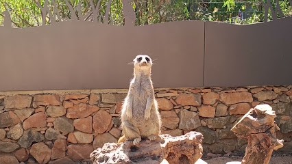 LTIMMOBILIER, Agence Immobilière à La Trinité