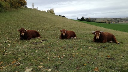 Laforêt, Agence Immobilière à Rochefort-Samson