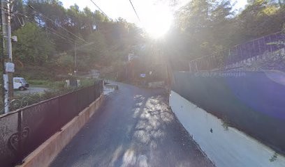 SARL Immo V@llée, Agence Immobilière à Drap