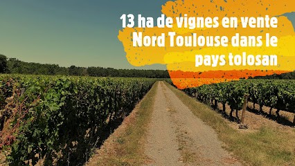 Joël Diez De Théran Immobilier Résidentiel Et Professionnel Propriétés-Privées, Agence Immobilière à Fronton