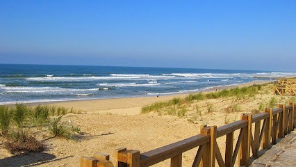 Agence Côte D'Argent SARL, Agence Immobilière à Mimizan