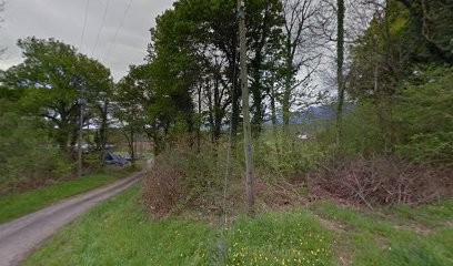 Aude DELANNOY ORPI, Agence Immobilière à Oloron-Sainte-Marie