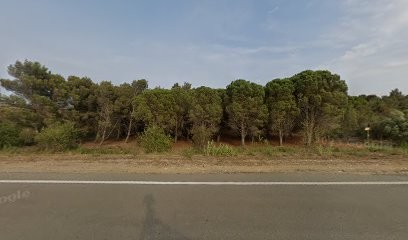 Julien PRATS Keller Williams Conseiller Immobilier, Agence Immobilière à Salses-le-Château