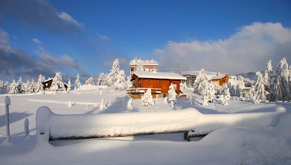 Valberg Agence, Agence Immobilière à Péone