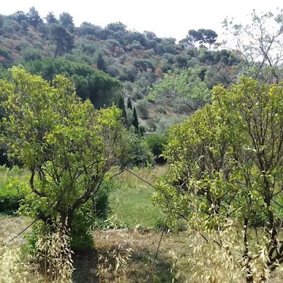 Unit Immobilier, Agence Immobilière à La Turbie