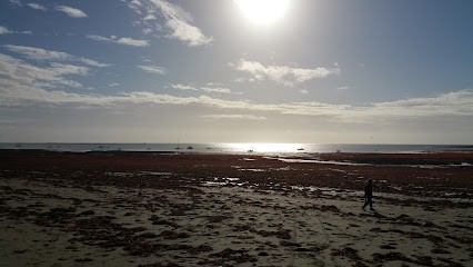 Forêt André, Agence Immobilière à Sarzeau
