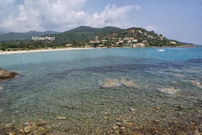 S C I Domaine Des Oliviers, Agence Immobilière à Zonza