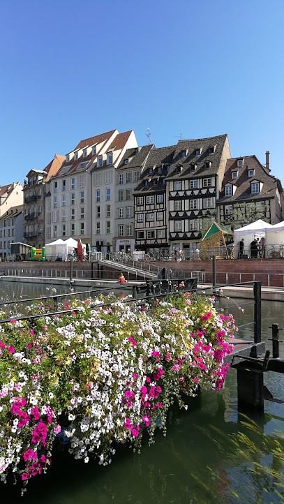 A&V Immo, Agence Immobilière à Morschwiller-le-Bas