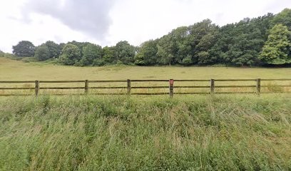 Pauline Gillodts IAD FRANCE, Agence Immobilière à Saint-Martin-du-Manoir