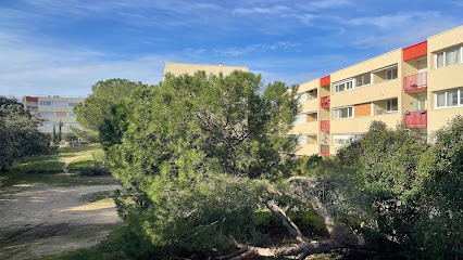 Laurent Bonnet Safti Immobilier Avignon Agence Immobilière à Avignon