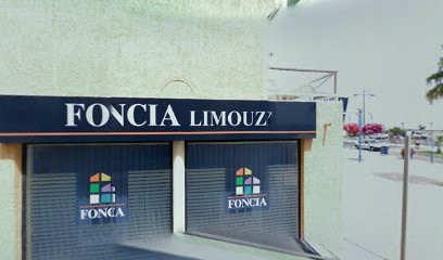 Foncia Limouzy, Agence Immobilière à Fleury
